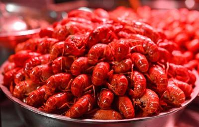 荆州市农业农村发展中心：马年早春荆州市小龙虾产业发展态势调研分析  