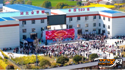 国网监利市供电公司全力保电护航  点亮程集古镇“七彩烂漫游”