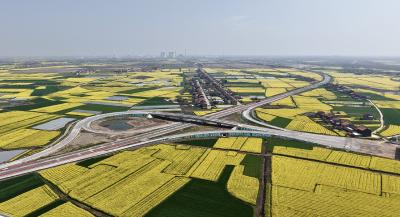 60余名摄影大咖聚焦江陵，用镜头定格“油菜花赋”春日盛景