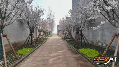 【办实事 在行动】昔日脏乱差变身春日“打卡点”   荆州高新区社区微改造“绣”新景