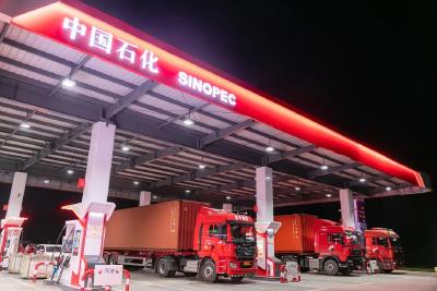 “中园石化”被查！