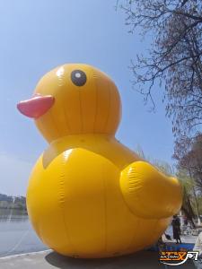 明晚六点！“花漾碧波 一起玩YA”夜游嘉年华开启