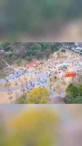 荆州文湖公园：用“一米高度”看城市，把童年还给孩子