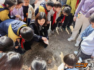 播撒春日新绿！荆州实验小学城中校区“碧水田园”种植课启幕