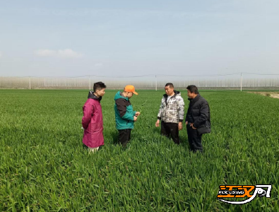 石首市供销社：无人机飞防助春耕 田间地头尽显科技范