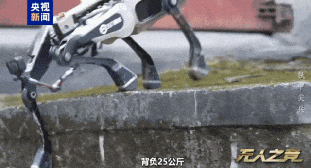 首次公开！中国机器狼群巷战画面