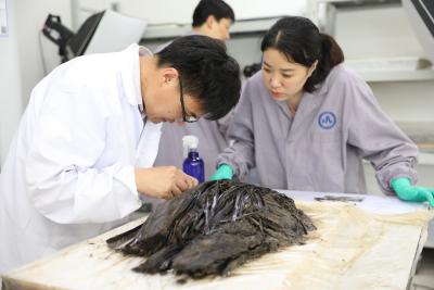 全国人大代表、荆州文物保护中心主任方北松——  守护简牍文脉 助力荆州文旅品牌建设