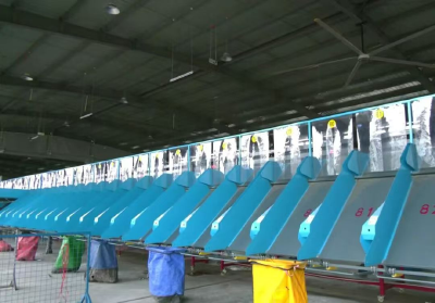 江陵：破解寄递瓶颈 实现全县快件当日直达