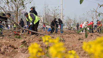 为绿色发展充“植”！荆州经开区开展植树节活动 