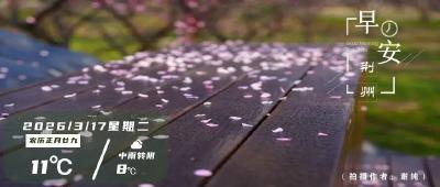 早安·荆州丨开工！沙市红门路这里将变样