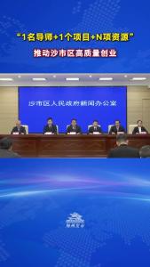 荆州市沙市区人力资源和社区保障局党组书记、局长赵凌云：“1名导师+1个项目+N项资源”，推动沙市区高质量创业
