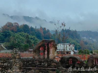 茶山上的亲戚们