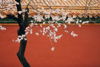 罕见！春分巧遇“龙抬头”