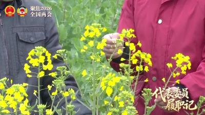 全国人大代表毕利霞：携田间心声 赴两会之约