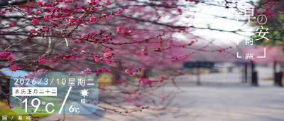 早安·荆州丨全国人大代表毕利霞哽咽呼吁→