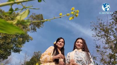 外国友人打卡春日荆州：满城繁花入画来