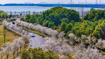 花花世界来了！荆州最新打卡地图→