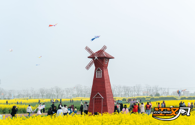 江陵县资市镇“花朝春会”：纸鸢竞逐绘蓝天 欢歌唱响醉花海