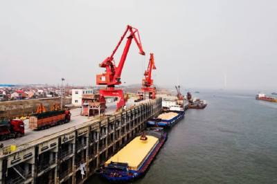 首批8000吨散粮玉米入库 洪湖港成功落地2026年首个散粮新货种