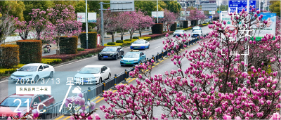 早安·荆州丨春色满城景如画 民生相伴暖人心