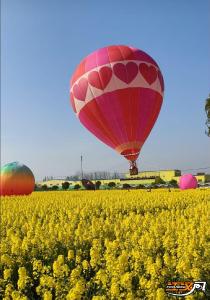 第三届“程集古镇七彩烂漫游”拉开序幕