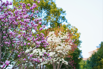 此刻，荆州正在疯狂涨粉！
