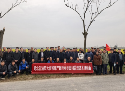 湖北省油菜大面积单产提升春季田间管理技术培训及研讨会在荆州召开