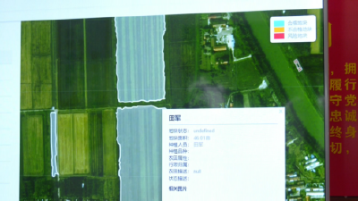 入选省级典型！三湖黄桃智慧管理平台打造黄桃产业新引擎