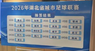 “鄂B”VS“鄂D”，谁更强？