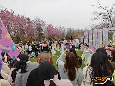 浅山樱韵·国风雅集春日游园会：樱花树下遇花神 沉浸式体验拉满参与感