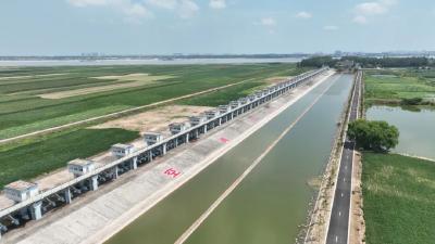 寻根北闸，致敬先辈！@北闸建设者后人，埠河清明活动邀您共赴一场家国记忆之约