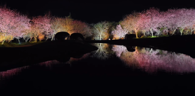 荆州十二时辰如花令在手！周末浅山、江陵花海无限畅游