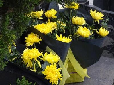 上周末全市迎来清明祭扫小高峰 文明绿色低碳祭扫蔚然成风