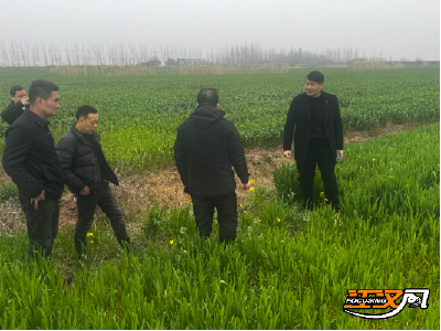 荆州市农技中心组织四路专家赴一线开展春季田管技术指导