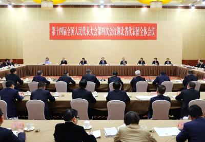 湖北代表团举行全体会议 审议全国人大常委会工作报告和“两高”工作报告 王忠林主持并发言 李殿勋等参加