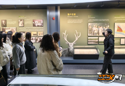 石首市自然资源和规划局：“三八”妇女节活动彰显巾帼风采