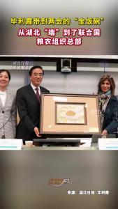 毕利霞带到两会的“金饭碗”，从湖北“端”到了联合国粮农组织总部