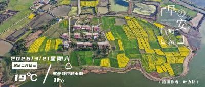 早安·荆州丨央视曝光！荆州严查