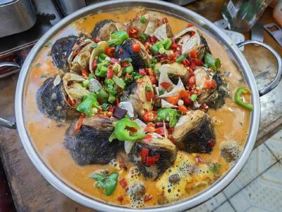 他们追着流量来，却爱上了荆州的烟火气！