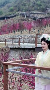 桃韵映佳人·星耀桃花山，范蠡西施邀你打卡桃花山