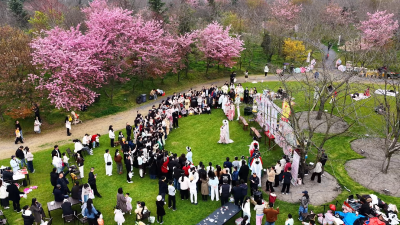 樱花树下遇花神 沉浸式体验让游客参与感拉满