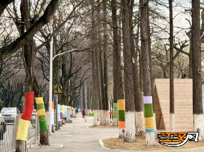 旧貌换新颜！沙市区碧波路首开段完工，微光、微风、微波伴您迎元宵