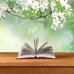 “书香荆州”再升级：2026年全民阅读促进工作实施方案发布