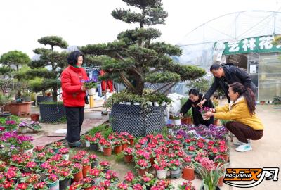 荆州市长湖花木大世界：花香四溢春意浓