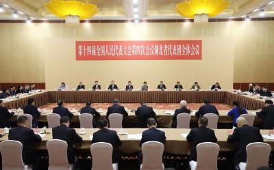 湖北代表团举行全体会议审议政府工作报告  肖捷铁凝王忠林李殿勋等作审议发言