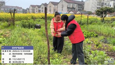荆州区九阳社区：禁种铲毒守净土 踏查排查护平安