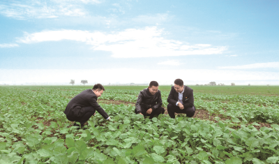 【坚守初心护权益 荆州农商银行全域发力勇担当】石首农商银行：深耕玉石首 护航千万家