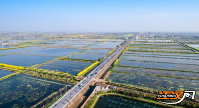 公安县麻豪口镇：“四手联弹”奏响水乡共富新乐曲