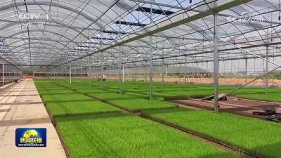 昨晚，央视《新闻联播》关注荆州这件事