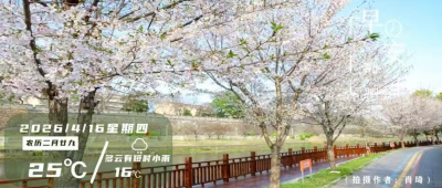 早安·荆州丨事业编制！公开招聘2740人